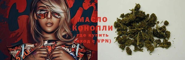 дмт Горно-Алтайск