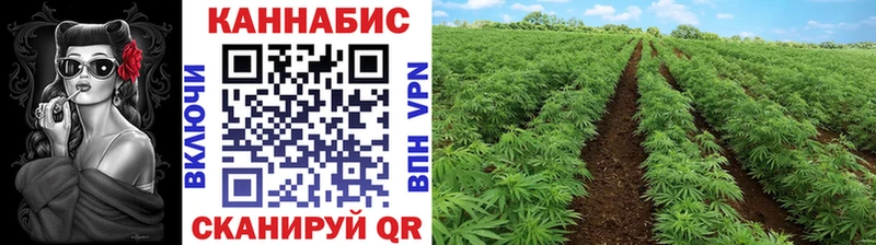 Конопля THC 21%  купить   Зеленокумск 
